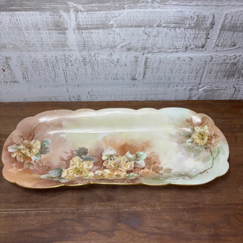 Antique Limoges France Hand-Painted Porcelain Celery Dish